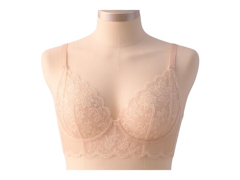 Sheer Bra